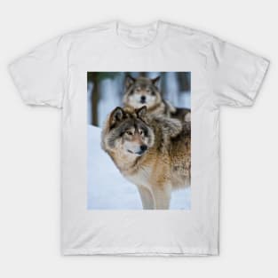 Gray Wolves T-Shirt